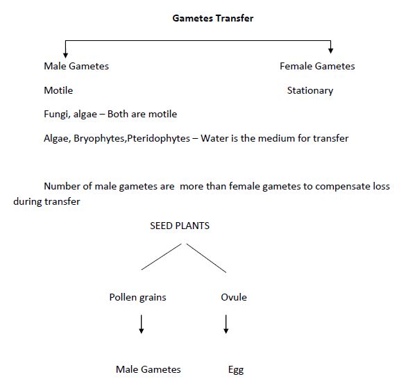 CBSE Class 12 Biology - Reproduction In Organisms notes