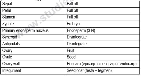 CBSE Class 12 Biology - Reproduction In Organisms