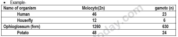 CBSE Class 12 Biology - Reproduction In Organisms