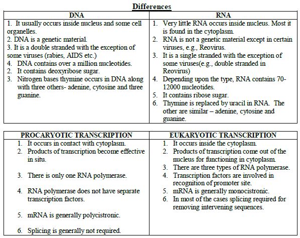 CBSE Class 12 Biology Molecular Basis Of Inheritance Study Guide