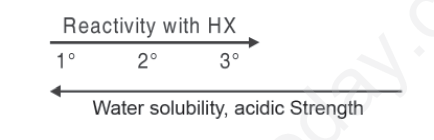 CBSE Class 12 Chemistry - Organic Chemistry Questions