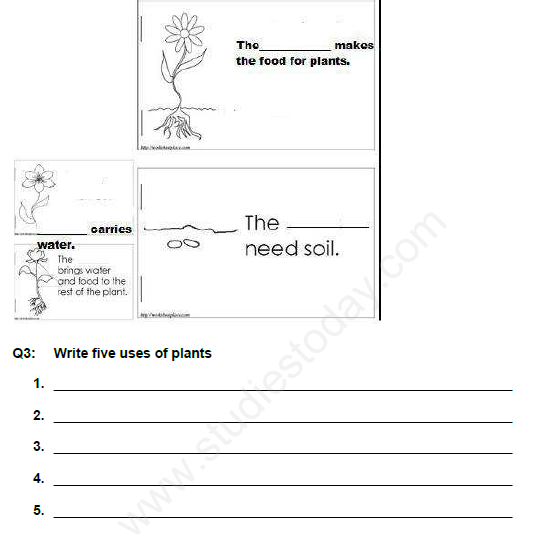 CBSE Class 3 EVS Revision Assignment Set E