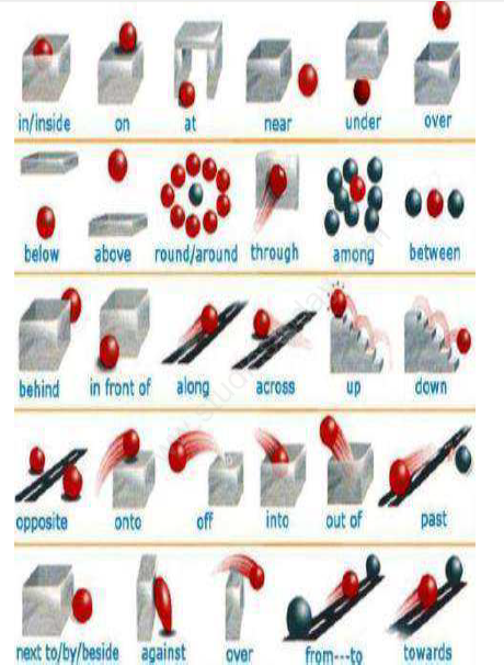 CBSE Class 3 English Assignment (8)-Prepositions