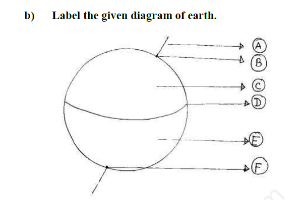 CBSE Class 4 EVS Assignment Set B