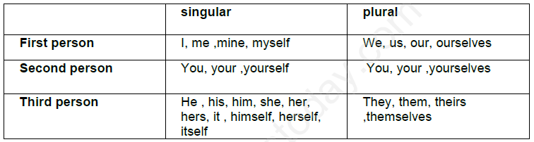 CBSE Class 5 English Assignment-Recalling Pronouns