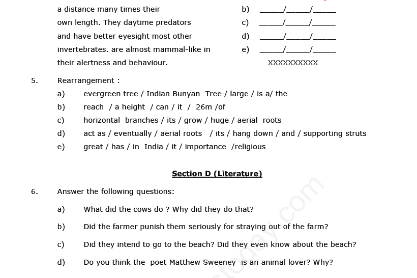 CBSE Class 6 English - Passage (1)