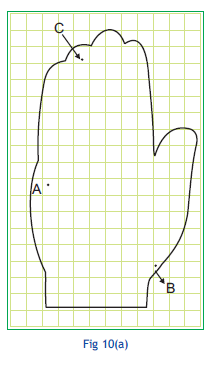 CBSE Class 6 Maths Activity 10