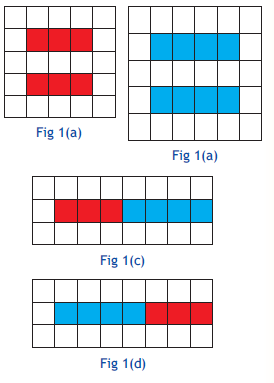 CBSE Class 6 Maths Activity 1