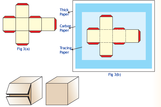 CBSE Class 6 Maths Activity 3