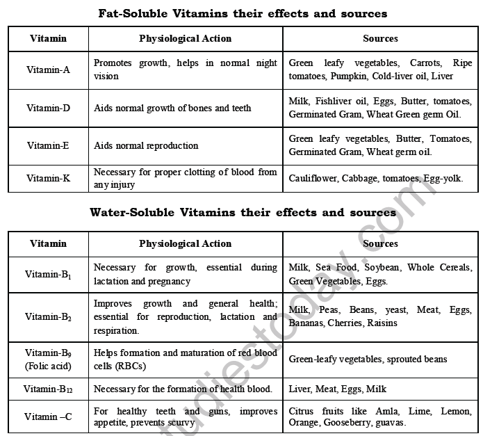 CBSE Class 6 Science Components of Food Exam Notes_1