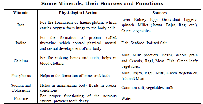 CBSE Class 6 Science Components of Food Exam Notes_7