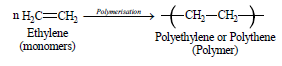 CBSE Class 6 Science Fibre to Fabric Exam Notes_2