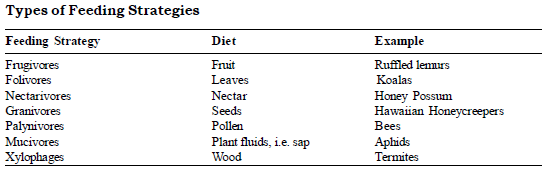 CBSE Class 6 Science Food Where Does it Come from Exam Notes_5