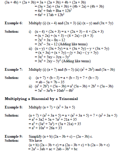 CBSE Class 7 Algebra Concepts B_2