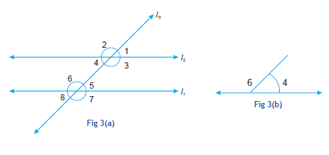 CBSE Class 7 Maths Activity 3