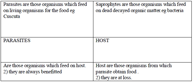 CBSE Class 7 Science - Nutrition in Plants_2