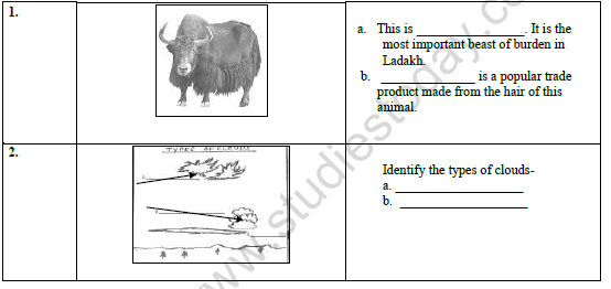 CBSE Class 7 Social Science Question Paper Set 9 2