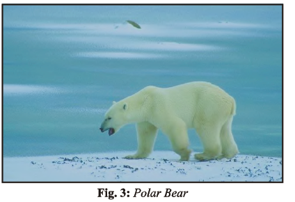 Class 7 Science Weather Climate Adaptations of Animals to Climate Chapter Notes