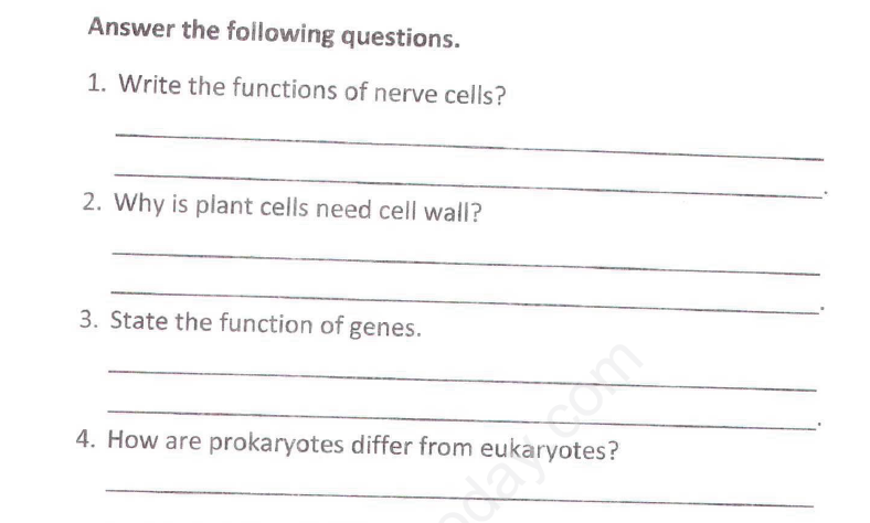 CBSE Class 8 Science - Cell Structure and Functions (1)
