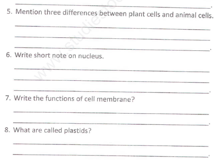 CBSE Class 8 Science - Cell Structure and Functions (1)