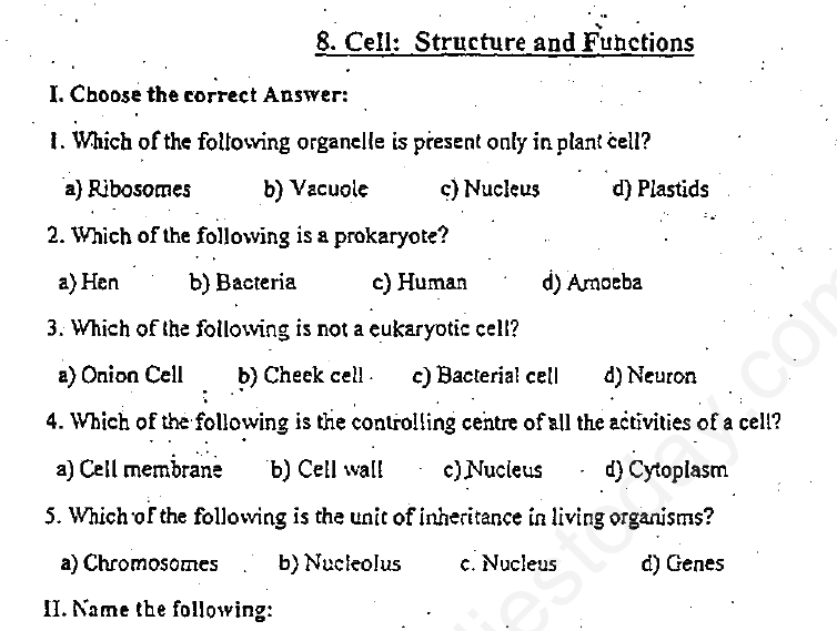 CBSE Class 8 Science - Cell Structure and Functions (2)