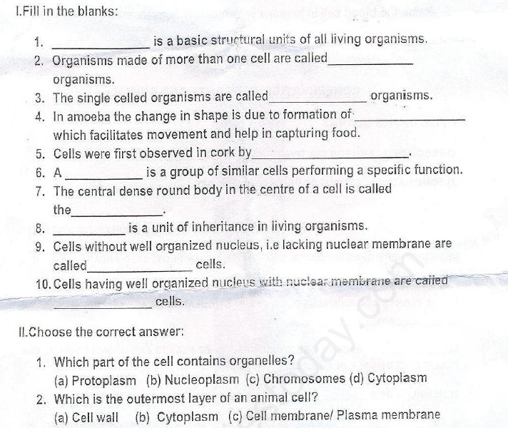 CBSE Class 8 Science Cell Structure and Functions Assignment Set D