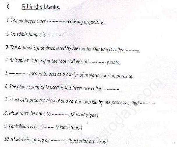 CBSE Class 8 Science - Micro Organisms Friends and Foe (1)