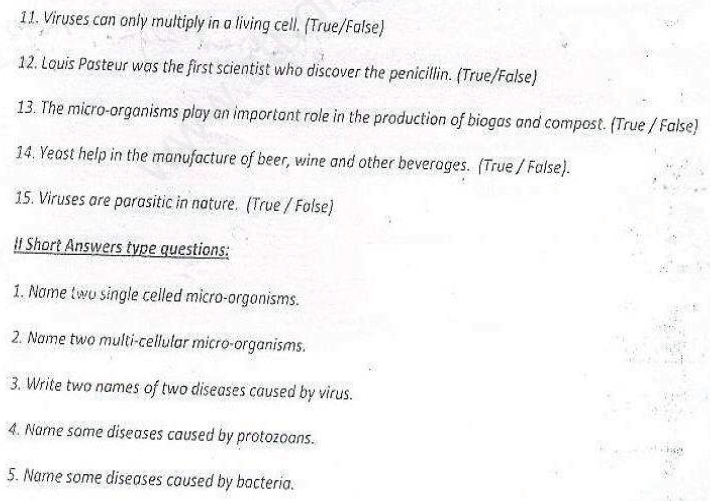 CBSE Class 8 Science - Micro Organisms Friends and Foe (1)