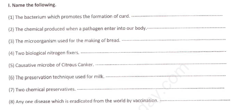 CBSE Class 8 Science - Micro Organisms Friends and Foe (2)