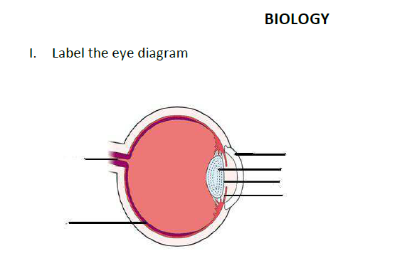 CBSE Class 8 Science - Physics Chemistry Biology (1)