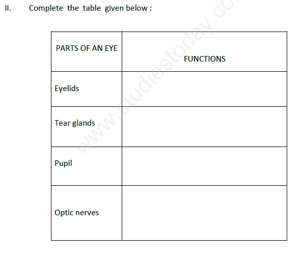 CBSE Class 8 Science - Physics Chemistry Biology (1)