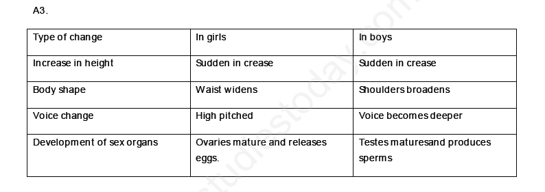 CBSE Class 8 Science - Reaching the age of Adolescence (2)