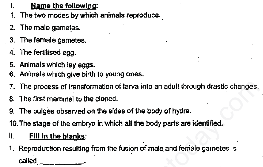 CBSE Class 8 Science - Reproduction in Animals (4)