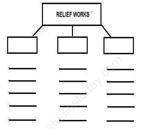 CBSE Class 8 Science - Wise and Otherwise