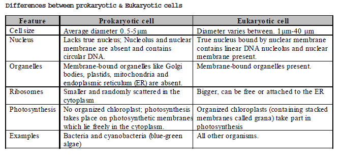 CBSE Class 8 Science Cell Chapter Notes_5