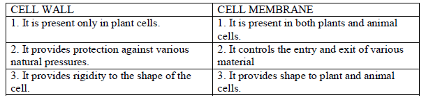 CBSE Class 8 Science Cell Structure And Functions_2