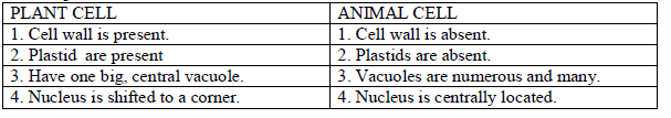 CBSE Class 8 Science Cell Structure And Functions_3
