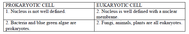 CBSE Class 8 Science Cell Structure And Functions_4