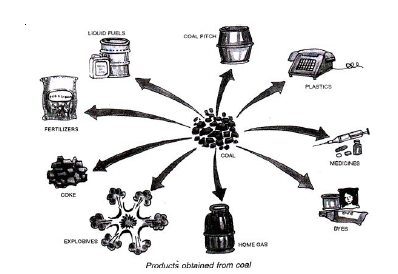 CBSE Class 8 Science Coal and Petroleum Chapter Notes_1