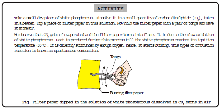 CBSE Class 8 Science Combustion and Flame Chapter Notes_0_1