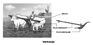 CBSE Class 8 Science Crop Production and Management Chapter Notes_1