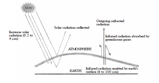 CBSE Class 8 Science Pollution Chapter Notes_6