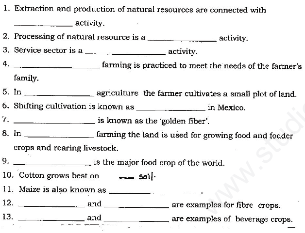 CBSE Class 8 Social Science Assignment (18)