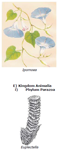 CBSE Class 9 Biology Diversity In Living Organism Notes_10