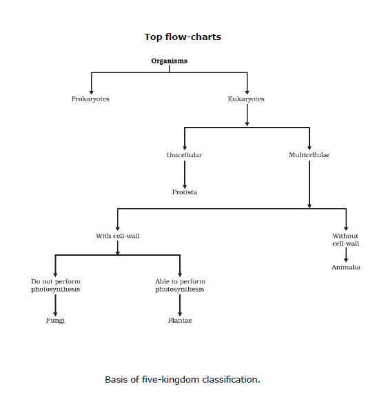 CBSE Class 9 Biology Diversity In Living Organism Notes_32