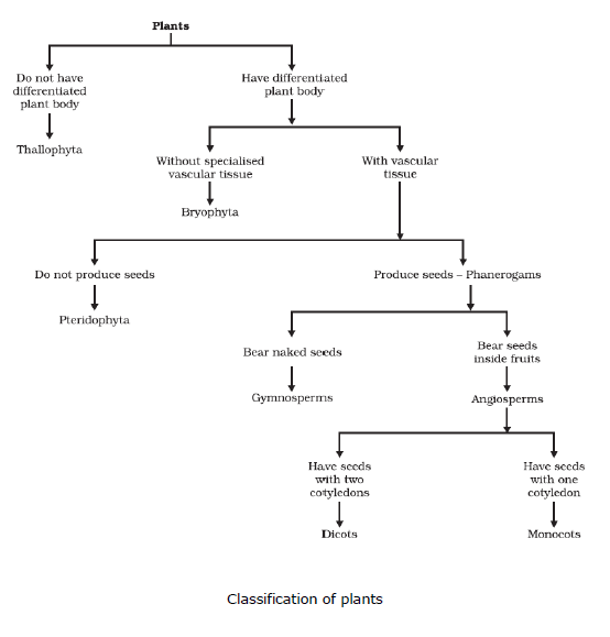 CBSE Class 9 Biology Diversity In Living Organism Notes_33