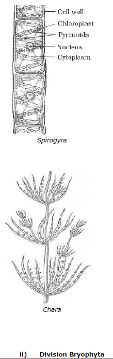 CBSE Class 9 Biology Diversity In Living Organism Notes_6