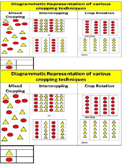 CBSE Class 9 Biology Improvement In Food Resources