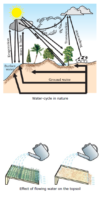 CBSE Class 9 Biology Natural Resources Notes_1