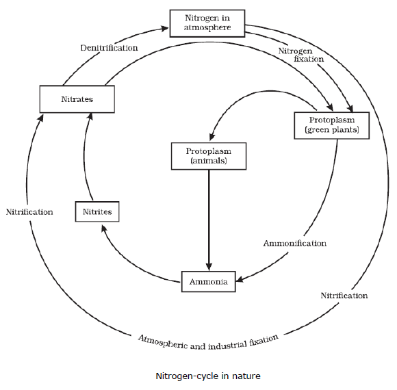 CBSE Class 9 Biology Natural Resources Notes_2